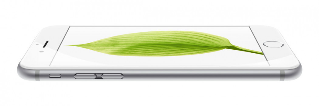 Топчик первый